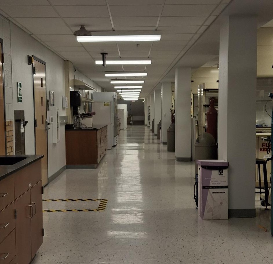 Long, empty corridor in a laboratory facility with fluorescent ceiling lights, lab benches and equipment along the walls, and columns on the right.